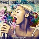 Vocal Drum & Bass /vol-11/Compiled by Zebyte/