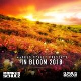 Markus Schulz - Global DJ Broadcast - In Bloom 2018 торрентом