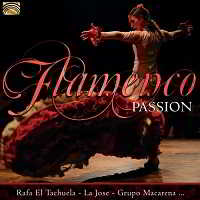 Flamenco Passion