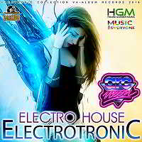 Electrotronic House