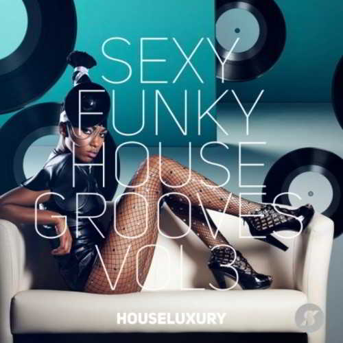 Sexy Funky House Grooves Vol.3