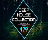 Deep House Collection Vol.179 2018 торрентом