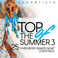 Top Of The Summer [25 Everybody Dance Now Cocktails] Vol.3