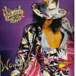 Rick James - Wonderful