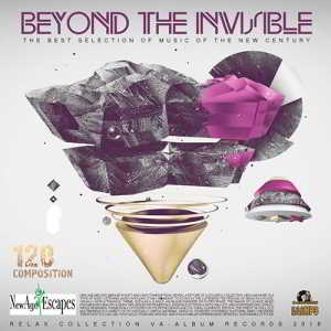 Beyond The Invisible 2018 торрентом