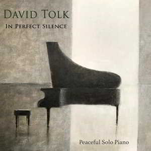 David Tolk - In Perfect Silence 2018 торрентом