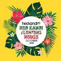 Hedkandi Flowers House: October Set 2018 торрентом