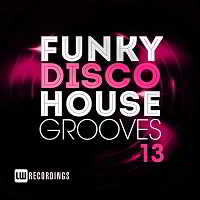 Funky Disco House Grooves Vol.13 2018 торрентом