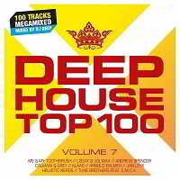 Deephouse Top 100 Vol.7 [2CD]
