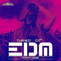 Best Of EDM Party 2019 2019 торрентом