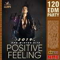 Positive Feeling: EDM Party 2019 торрентом