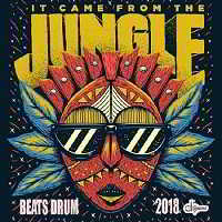 Beats Drum Jungle 2018 торрентом