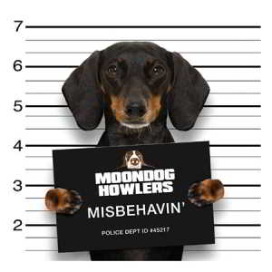 Moondog Howlers - Misbehavin' 2019 торрентом
