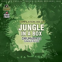 Jungle In A Box 2019 торрентом