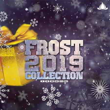 Frost 2019 Collection 2019 торрентом