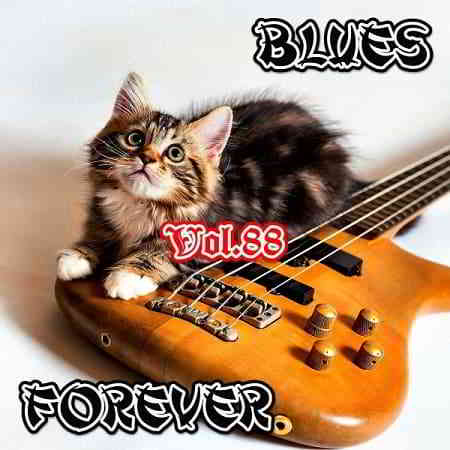 Blues Forever Vol.88 2019 торрентом