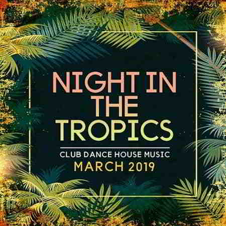 Night In The Tropics 2019 торрентом