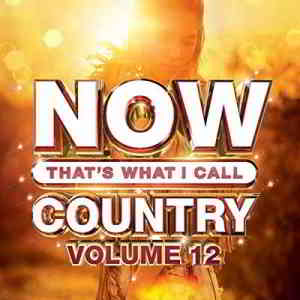 Now That's What I Call Country Vol 12 2019 торрентом