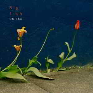 Oh Shu - Big Fish