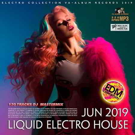 Liquid Electro Holuse 2019 торрентом