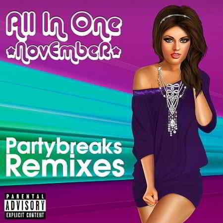Partybreaks and Remixes - All In One November 008 2019 торрентом