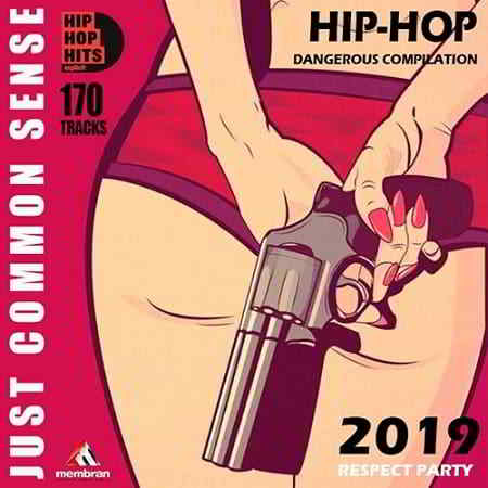 Just Common Sense: Hip Hop Dangeros 2019 торрентом