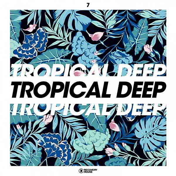Tropical Deep Vol.7 2019 торрентом