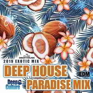 Deep House Paradise Mix 2019 торрентом