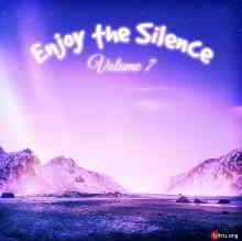 Enjoy The Silence Vol.7 2019 торрентом