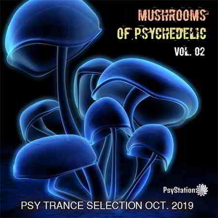 Mushrooms Of Psychedelic Vol.02