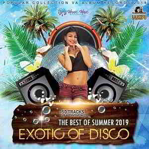 Exotic Of Disco: The Best Of Summer 2019 торрентом