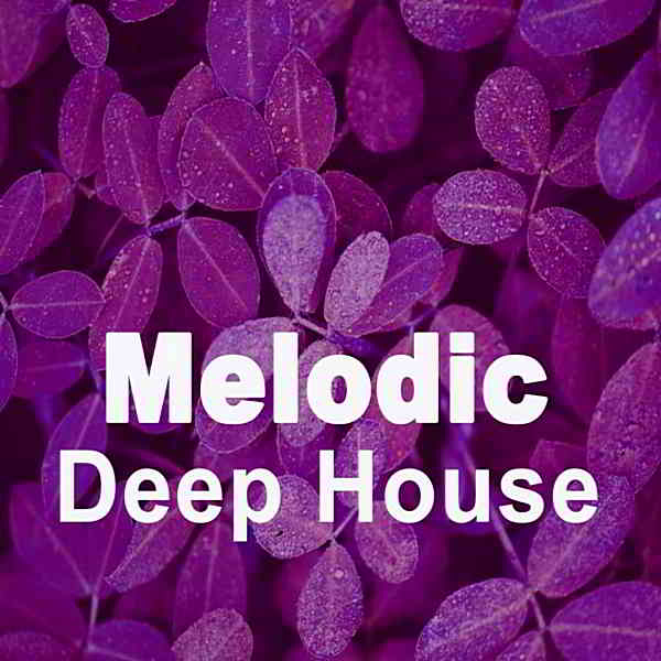 Melodic Deep House 2020 торрентом