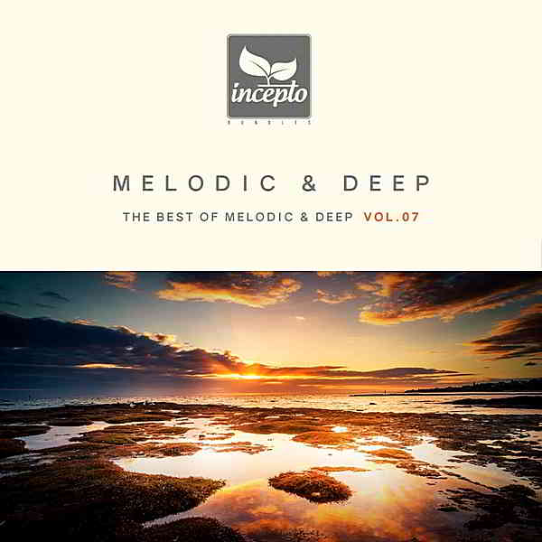 Melodic & Deep Vol.07
