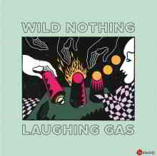 Wild Nothing - Laughing Gas 2020 торрентом