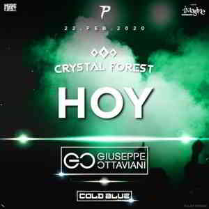 Cold Blue - Live @ Crystal Forest Medellin, Colombia 2020-02-22 2020 торрентом
