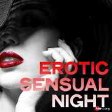 Erotic Sensual Night
