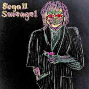 Ty Segall - Segall Smeagol 2020 торрентом