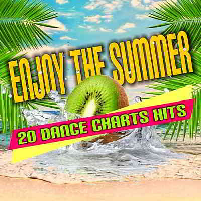Enjoy The Summer: 20 Dance Chart Hits