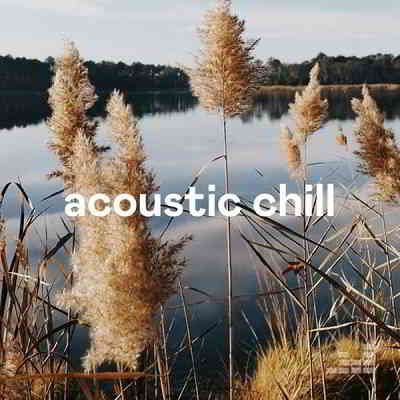 Acoustic Chill - 2020 2020 торрентом