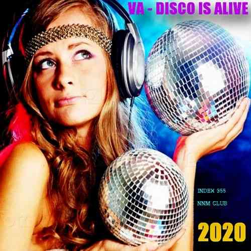 Disco Is Alive 2020 торрентом