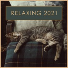 Relaxing 2021 2021 торрентом