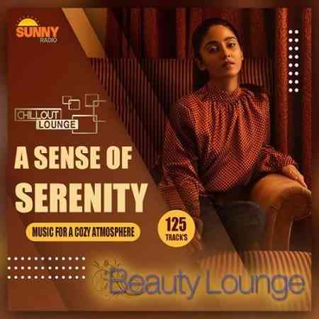 A Sense Of Serenity: Lounge Mix 2021 торрентом