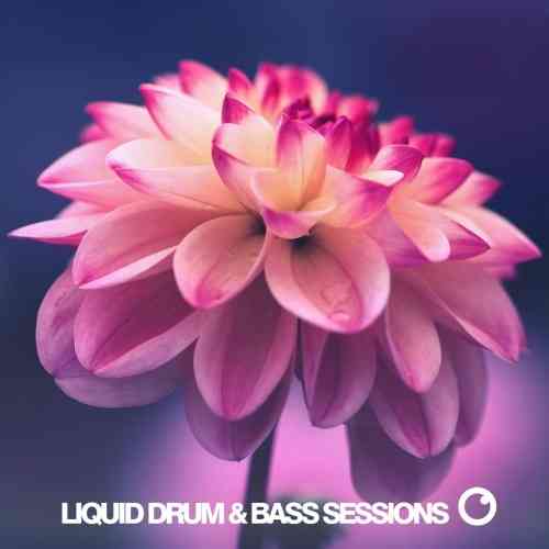 Liquid Drum & Bass Sessions: Vol 9 [WEB]