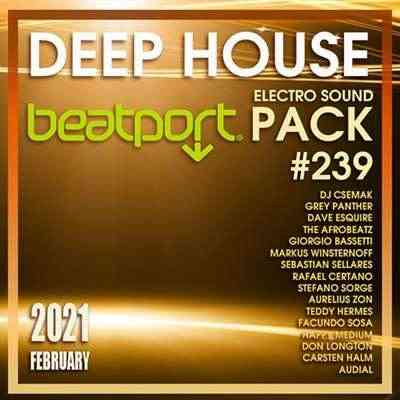 Beatport Deep House: Electro Sound Pack #239 2021 торрентом