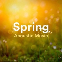 Spring Acoustic Music 2021 торрентом