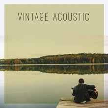 Vintage Acoustic 2021 торрентом