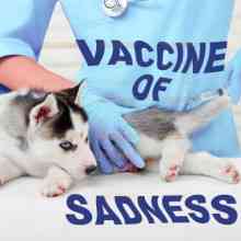 Vaccine of Sadness 2021 торрентом