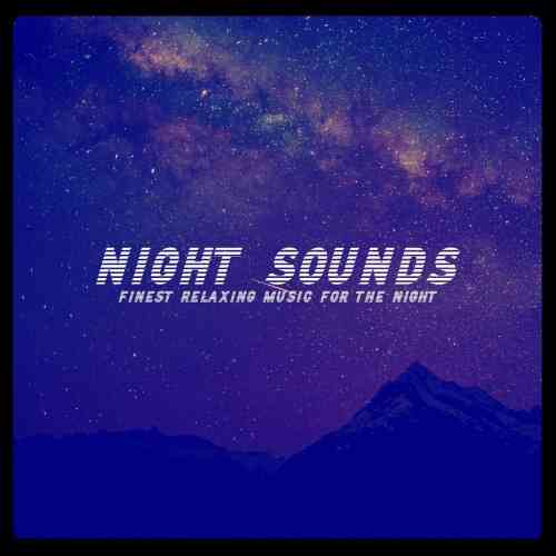 Night Sounds 2021 торрентом