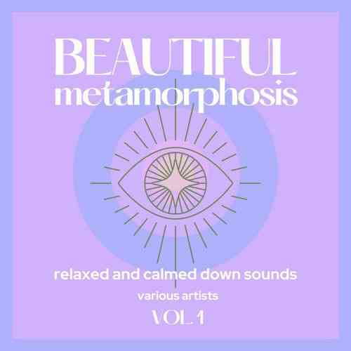 Beautiful Metamorphosis [Relaxed and Calmed Down Sounds] Vol. 1 2021 торрентом