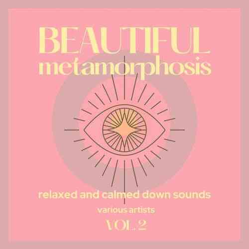 Beautiful Metamorphosis [Relaxed and Calmed Down Sounds] Vol. 2 2021 торрентом